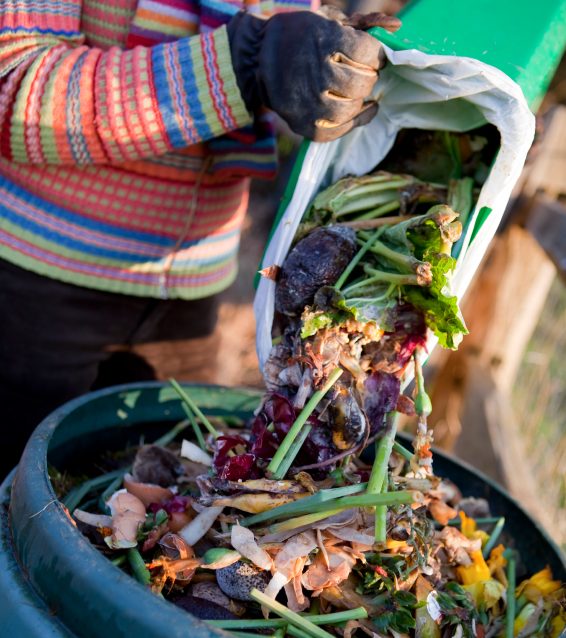 Photo of person composting kitchen waste.