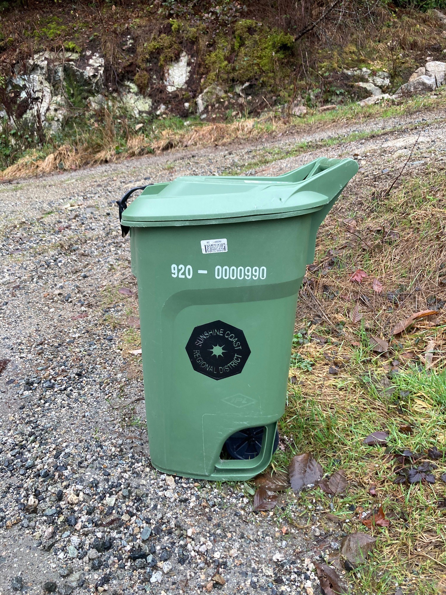 Photo of green bin.