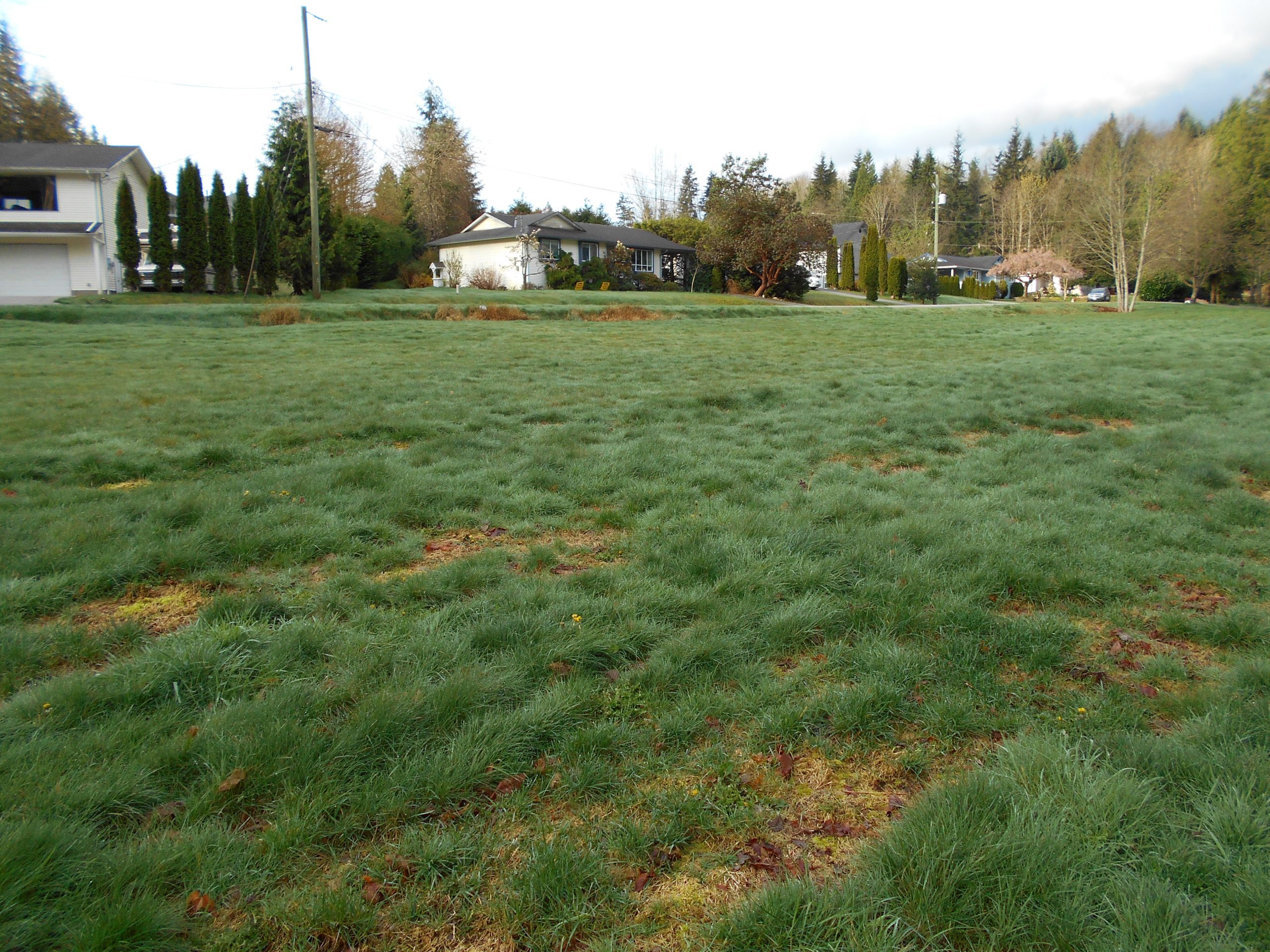 This is an image of the langdale wastewater treatment facility.