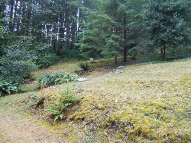 Photo of Mount Elphinstone Pioneer Cemetery.