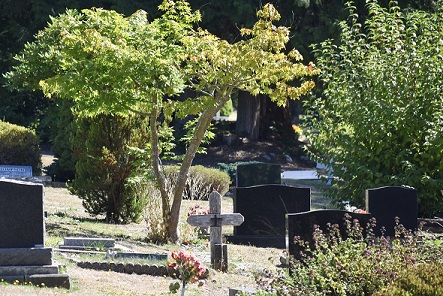 this is a photo of seaview cemetery