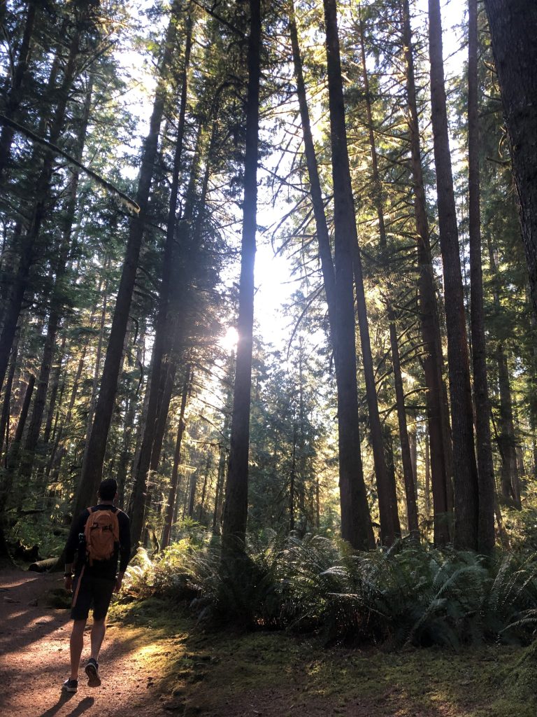 Man seen hiking a trail in Egmont