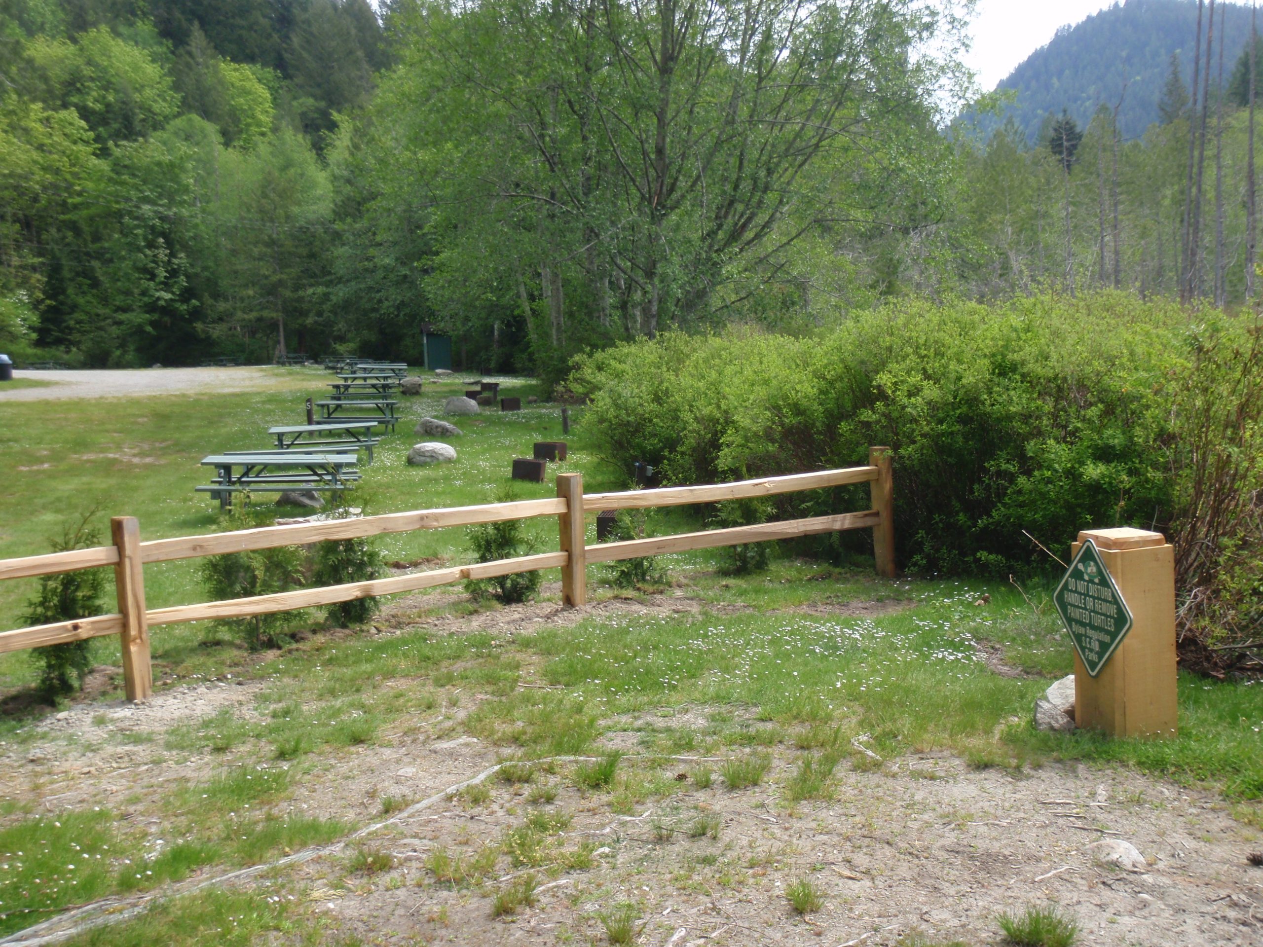 photo of lower campsites