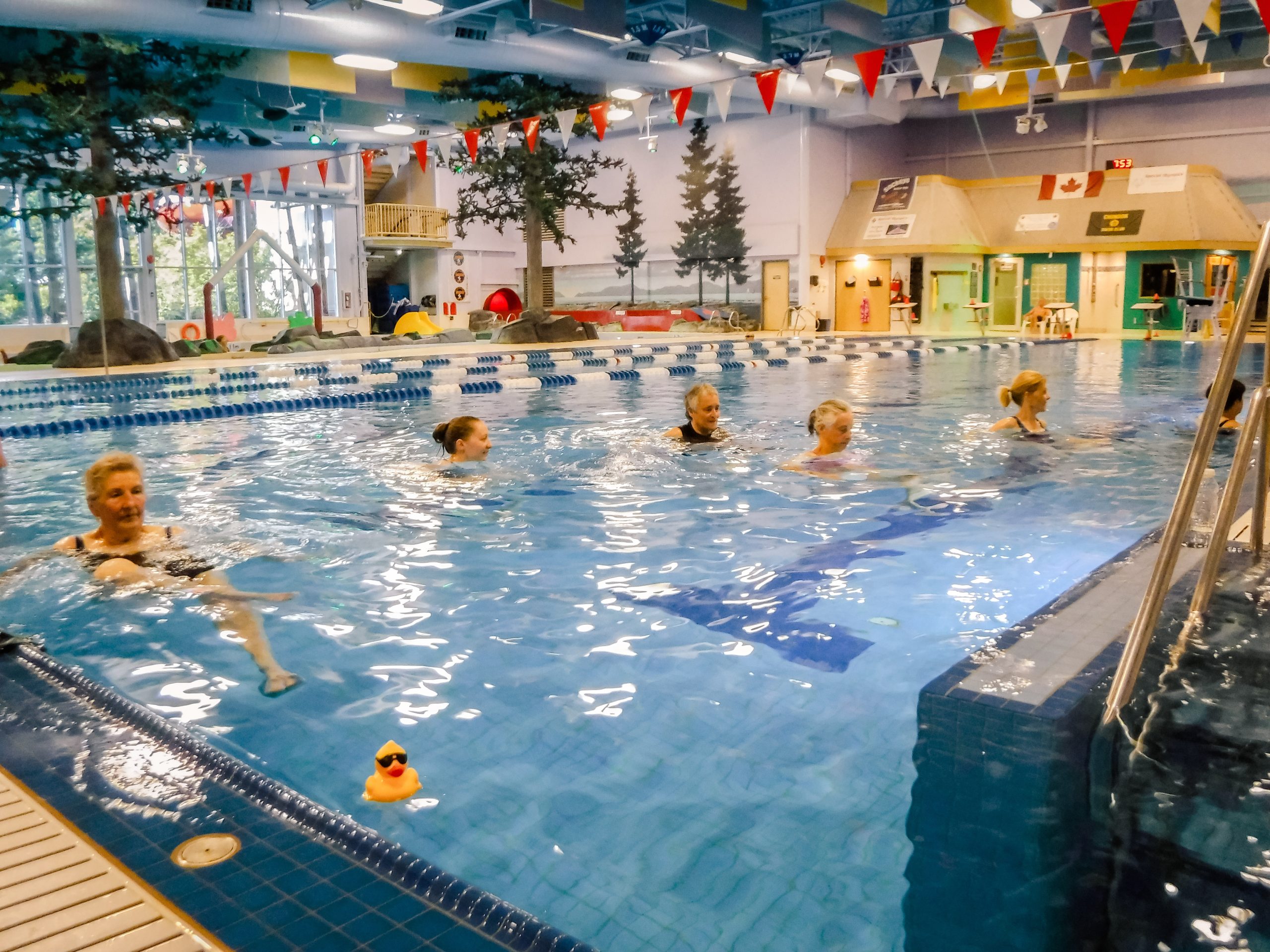 people taking part in an aquatic fitness class