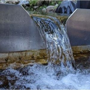 Water flows over a small weir in a creek.