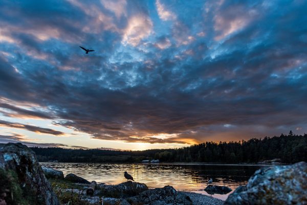 vladvictoria-sunset-3675874_1920
